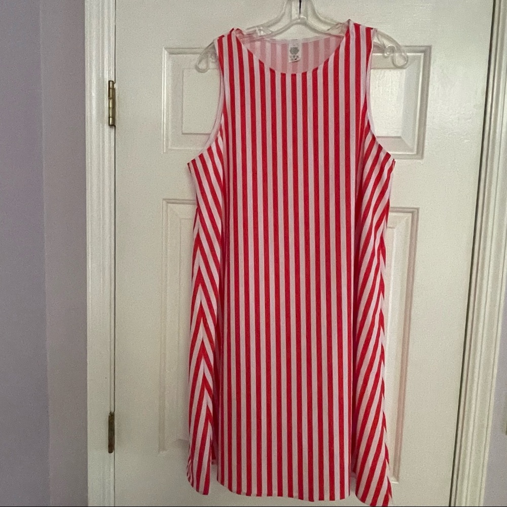 NWOT Sleeveless Red Striped A-line Dress